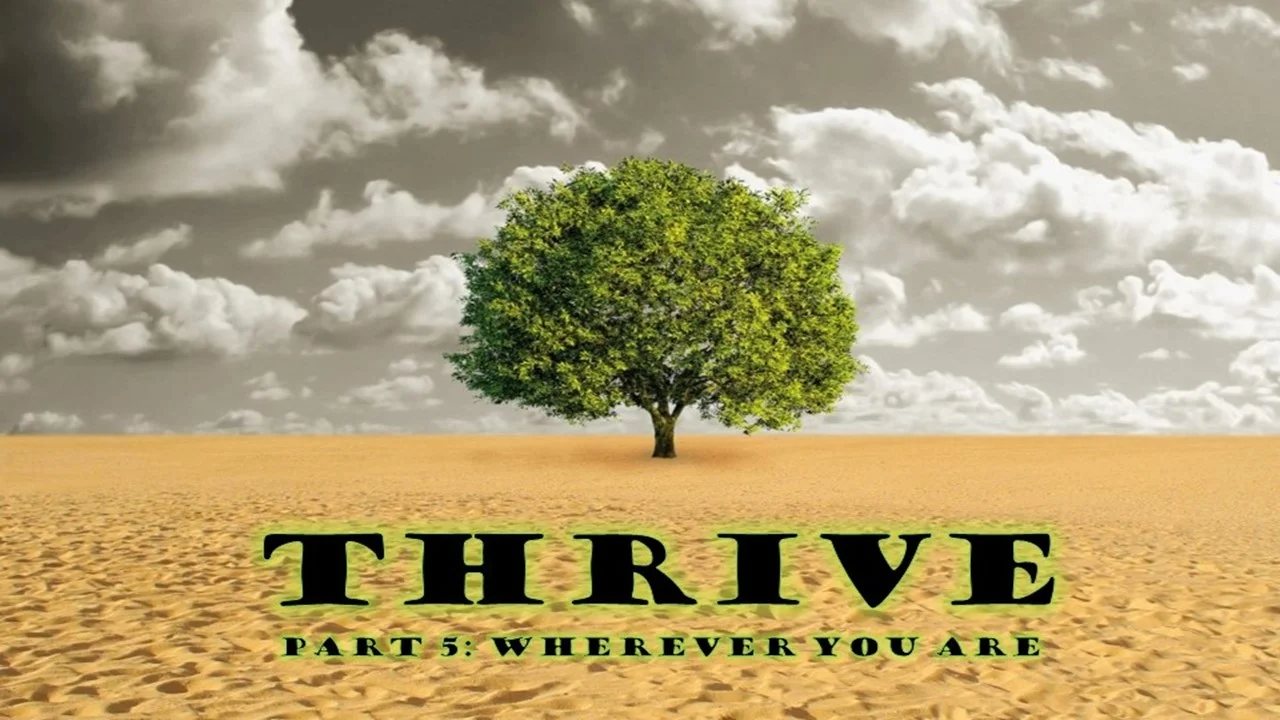 Thrive Pt:5 - Wherever You Are
