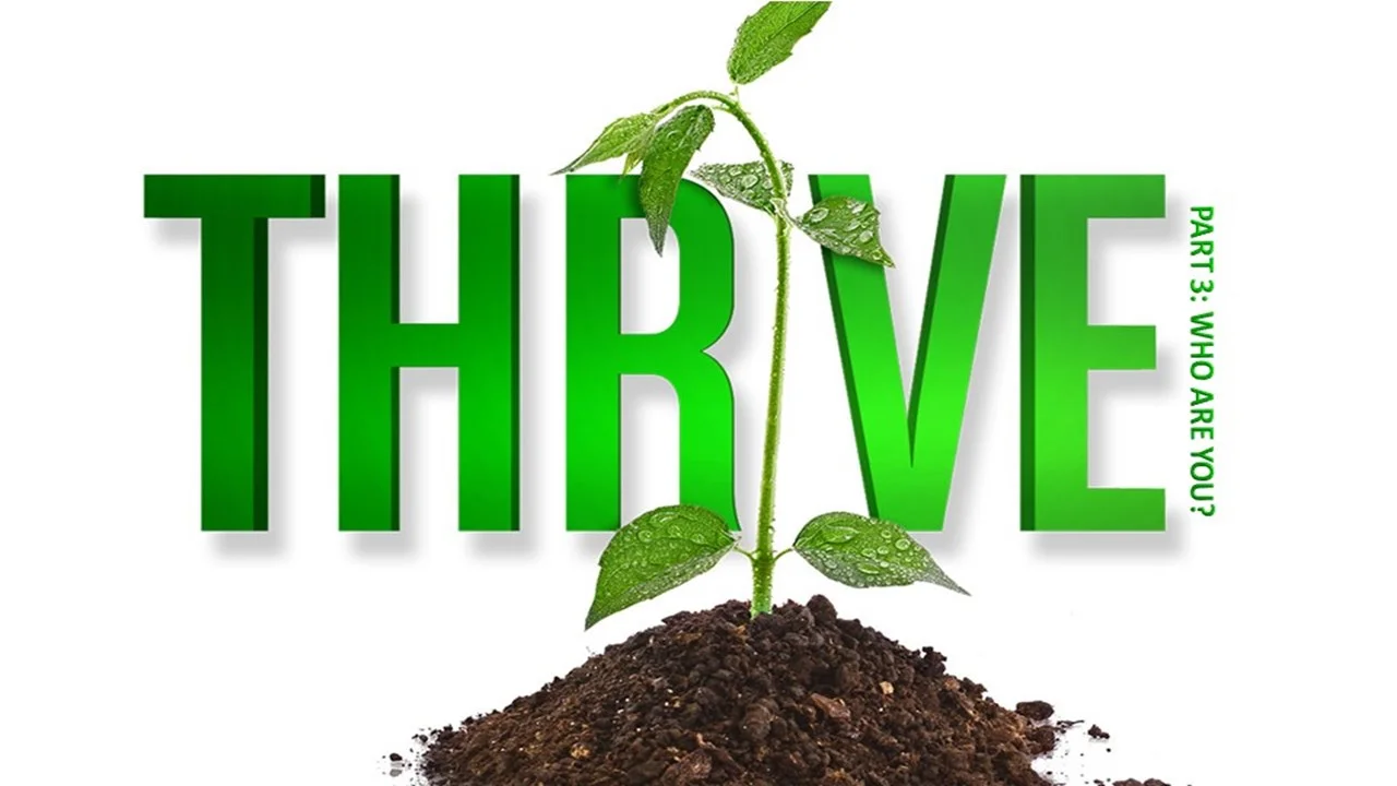 Thrive Pt: 3 - Who Are You?