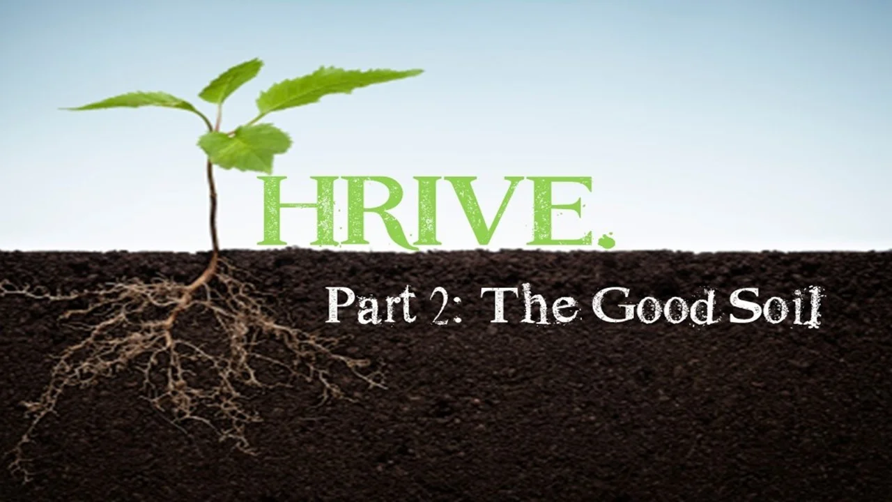 Thrive Pt: 2 - The Good Soil