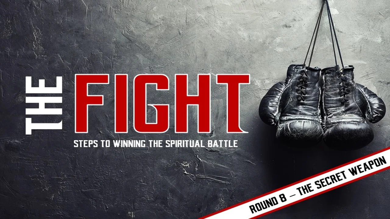 The Fight: Part 8