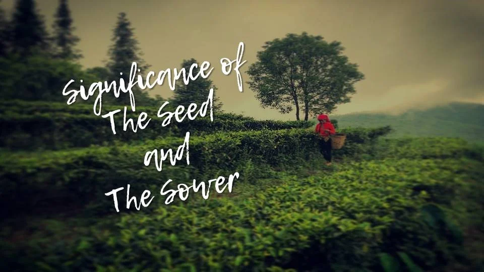 The Significance of the Seed and the Sower