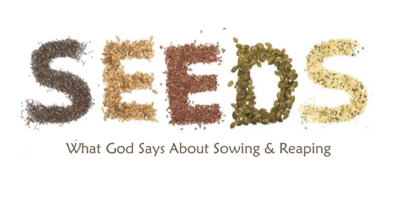 Seeds: Part 2