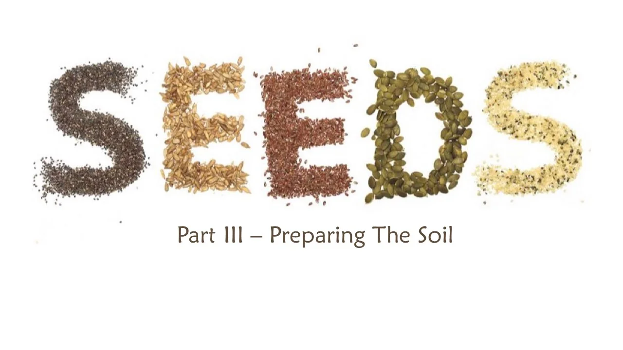 Seeds: Part 3