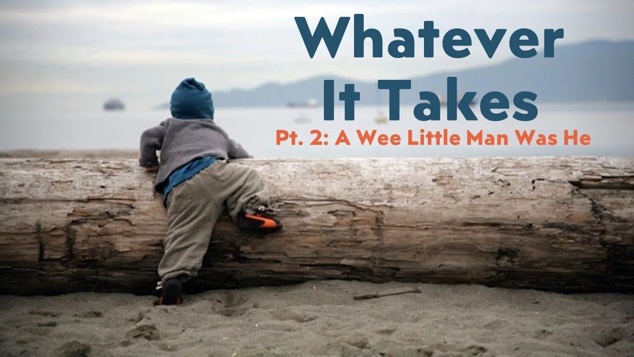 Whatever It Takes: Part 2