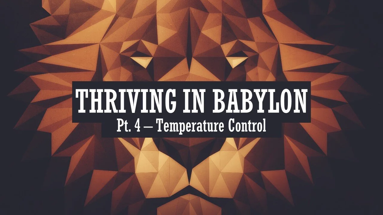 Thriving In Babylon: Part 4