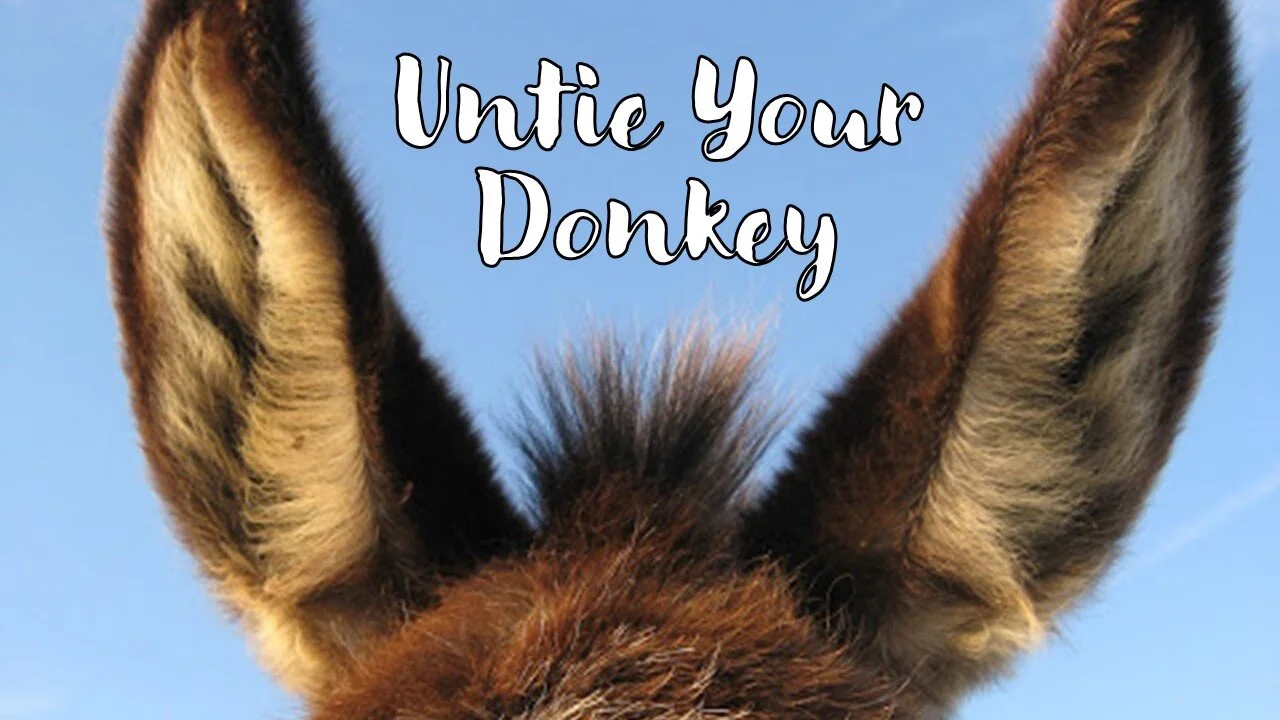 Untie Your Donkey