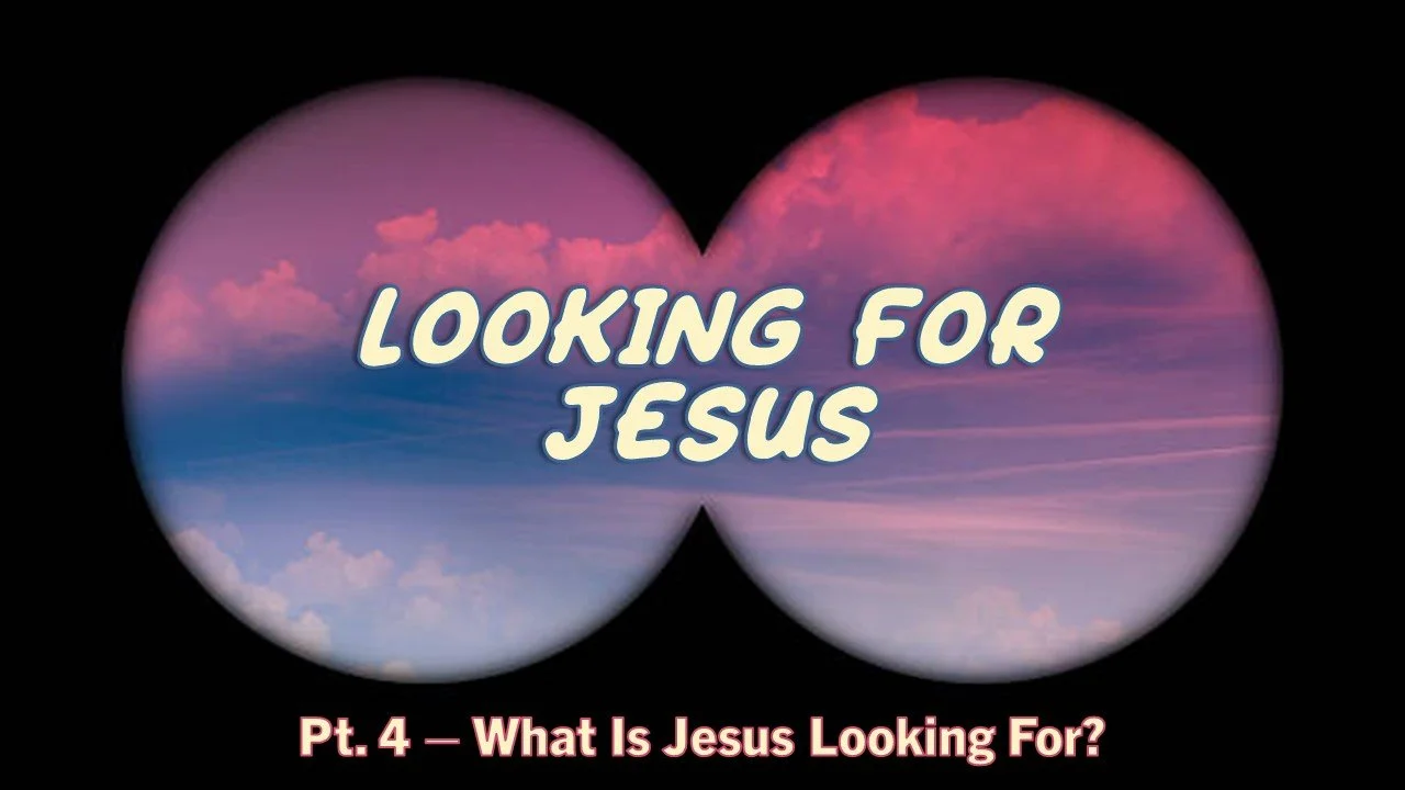 Looking For Jesus: Part 4 // What Is Jesus Looking For?