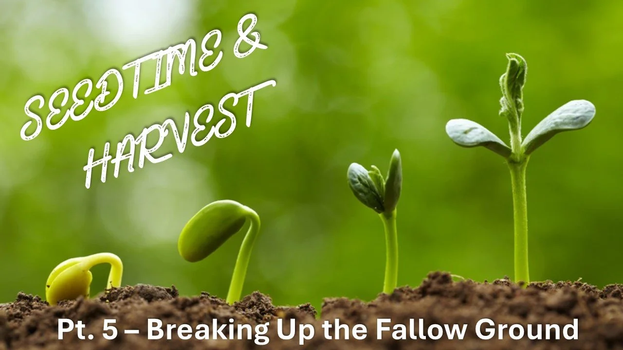 Seedtime &amp; Harvest: Part 5 // Breaking Up The Fallow Grounds