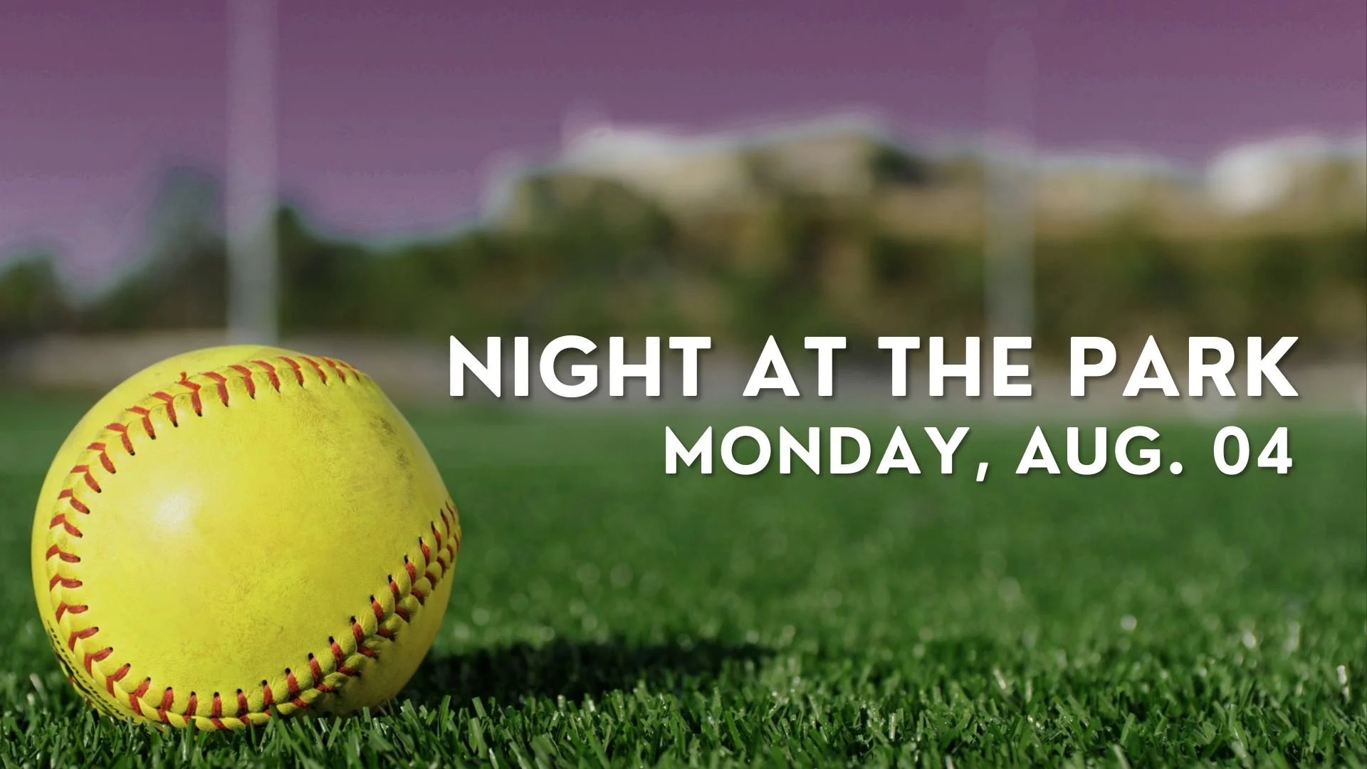Night At The Park