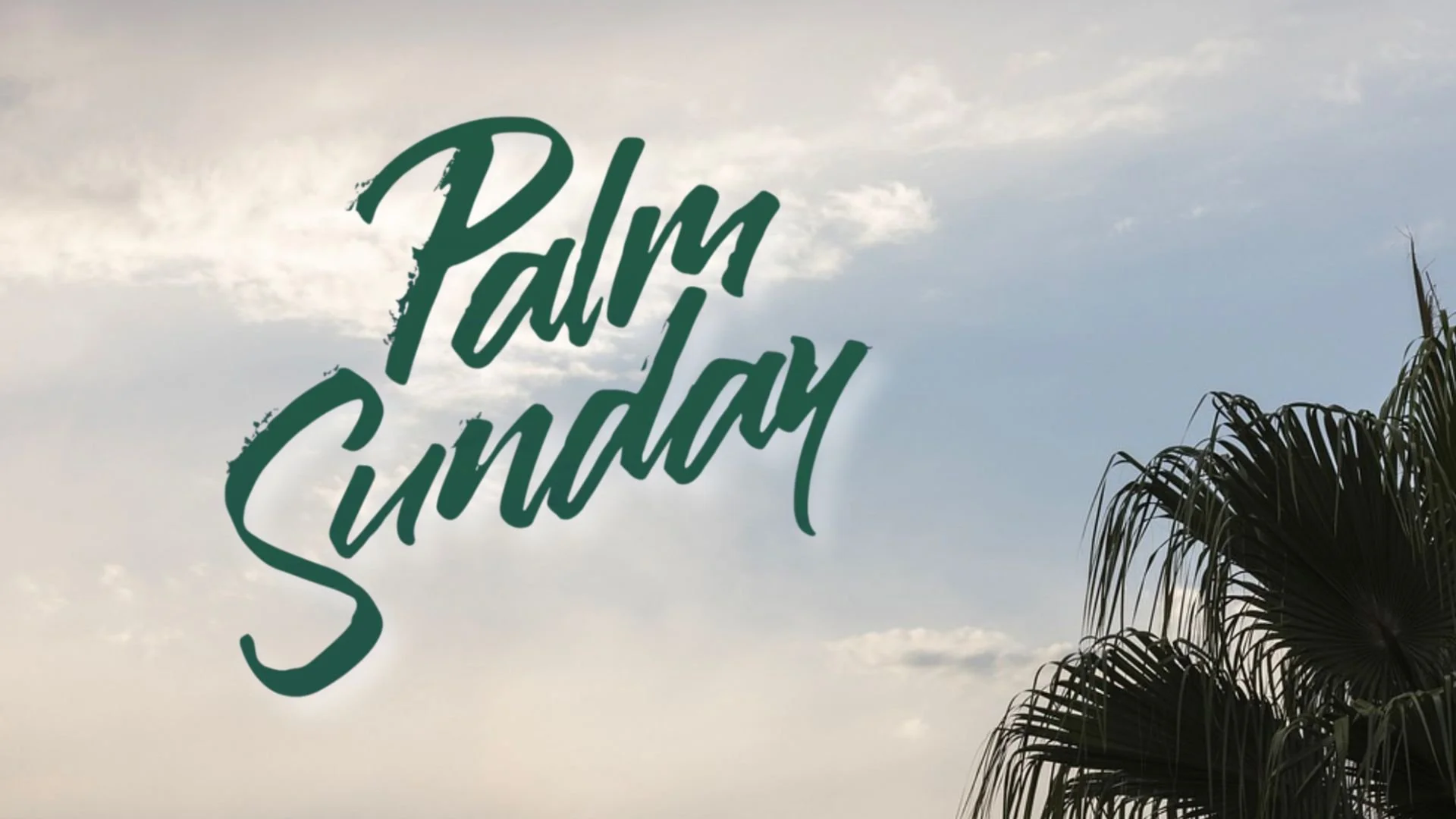 Palm Sunday - Solid Rock Family Church