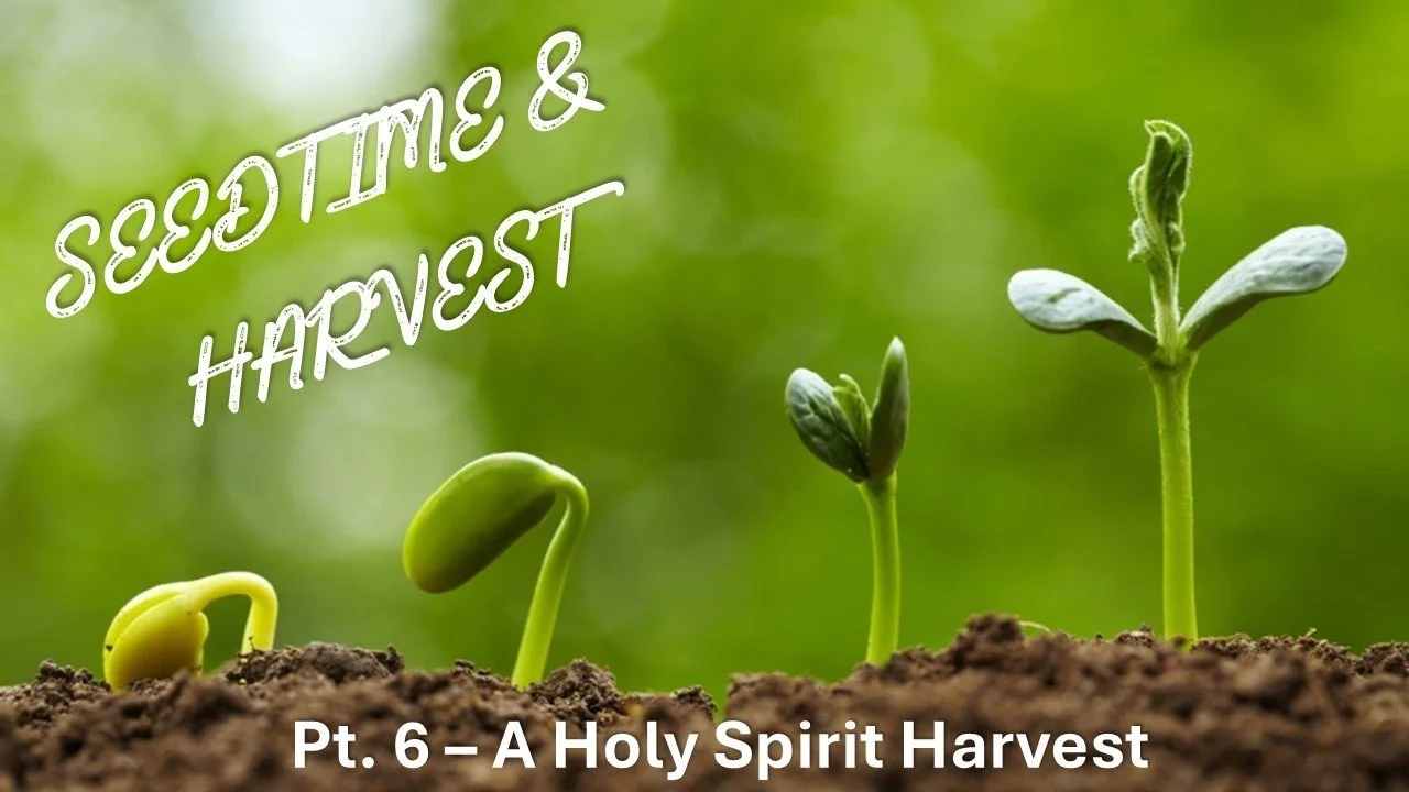 Seedtime &amp; Harvest: Part 6 // A Holy Spirit Harvest