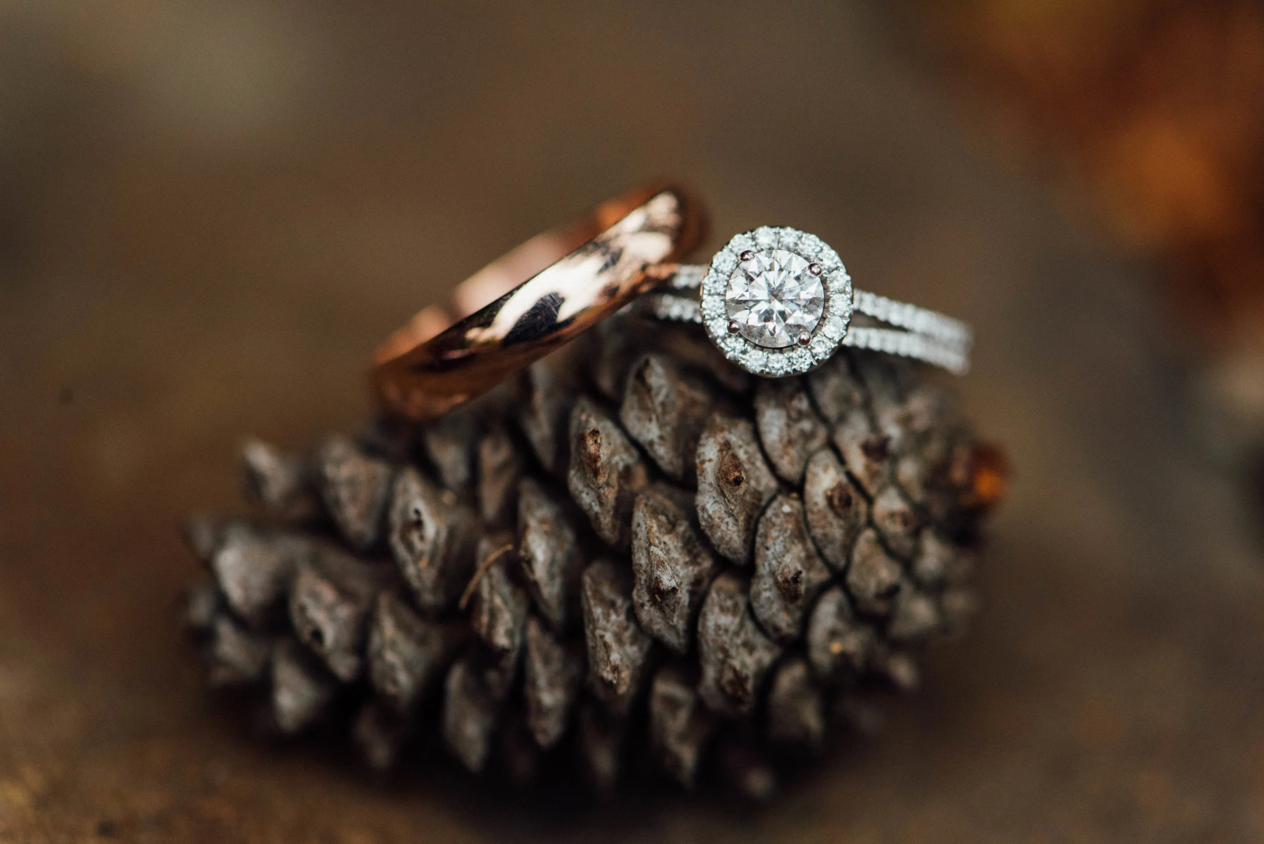 wedding ring photography Arkansas photography