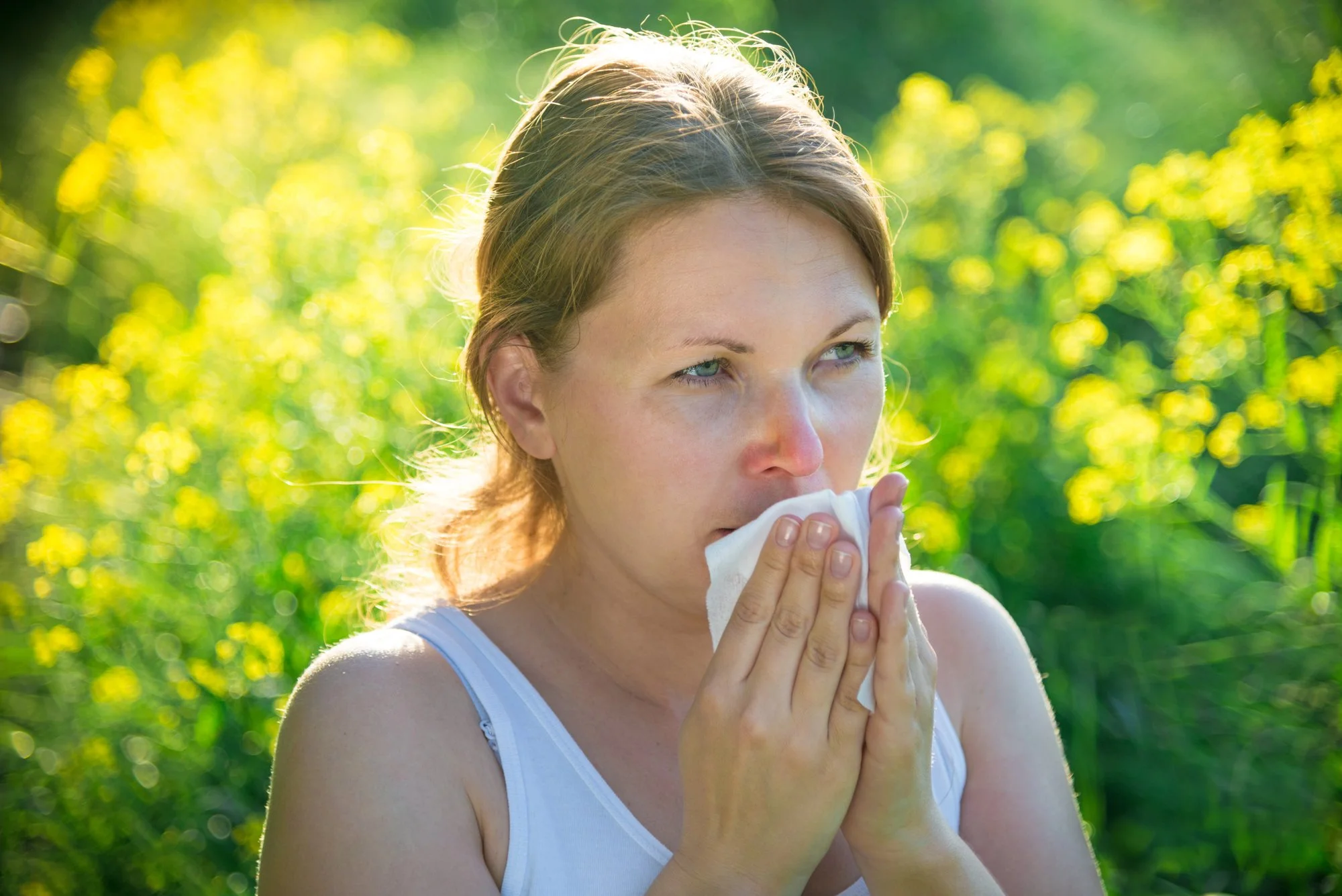 Bay Area Seasonal Allergies - How Acupuncture Can Help
