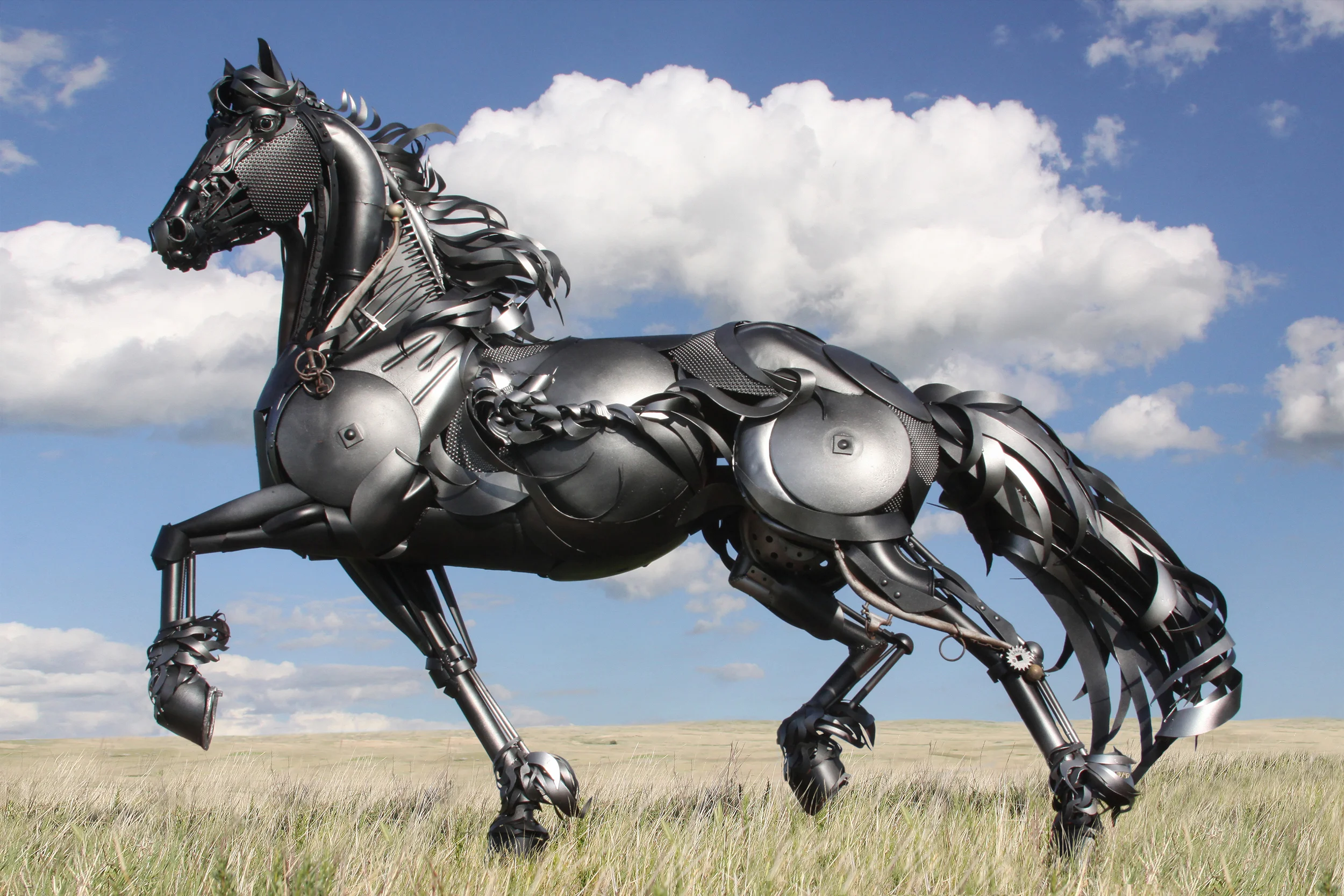 Friesian