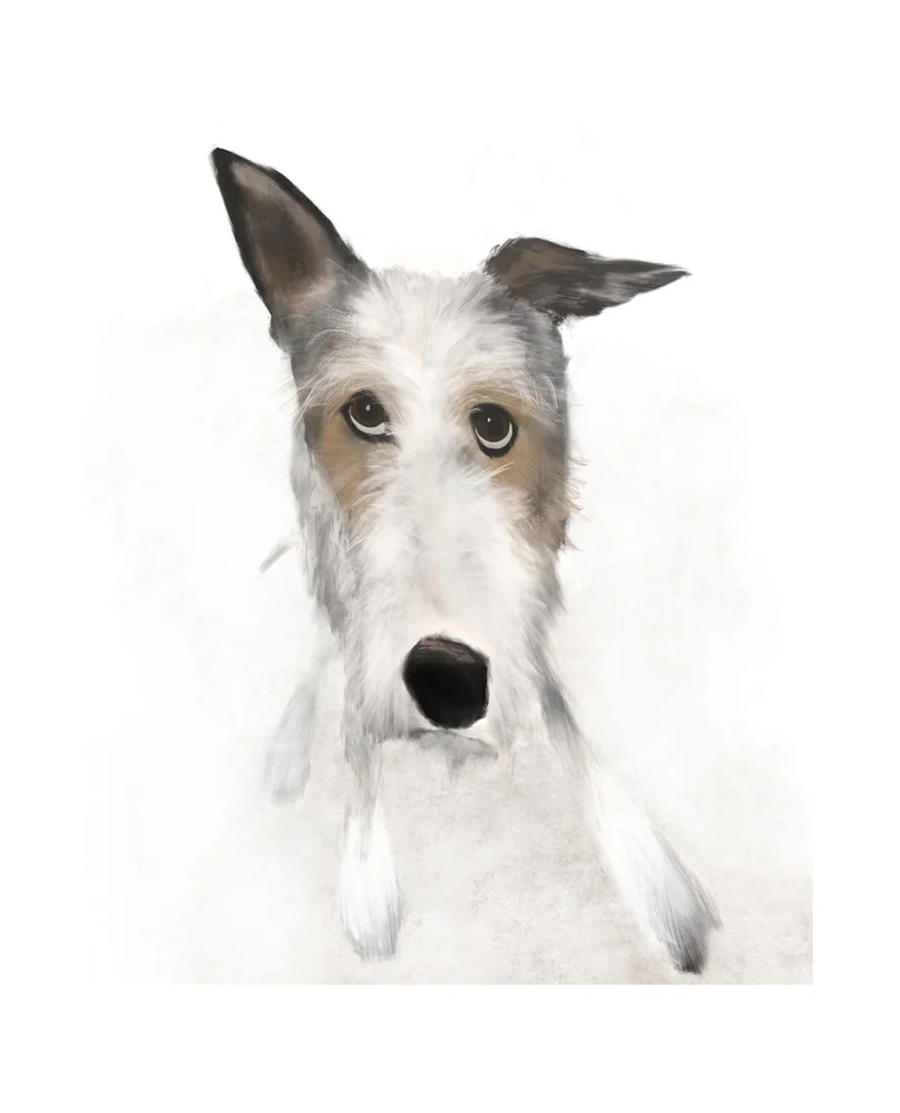 For real? Framed Giclée print on museum-grade rag paper. 310 x 380mm $170 Via Order