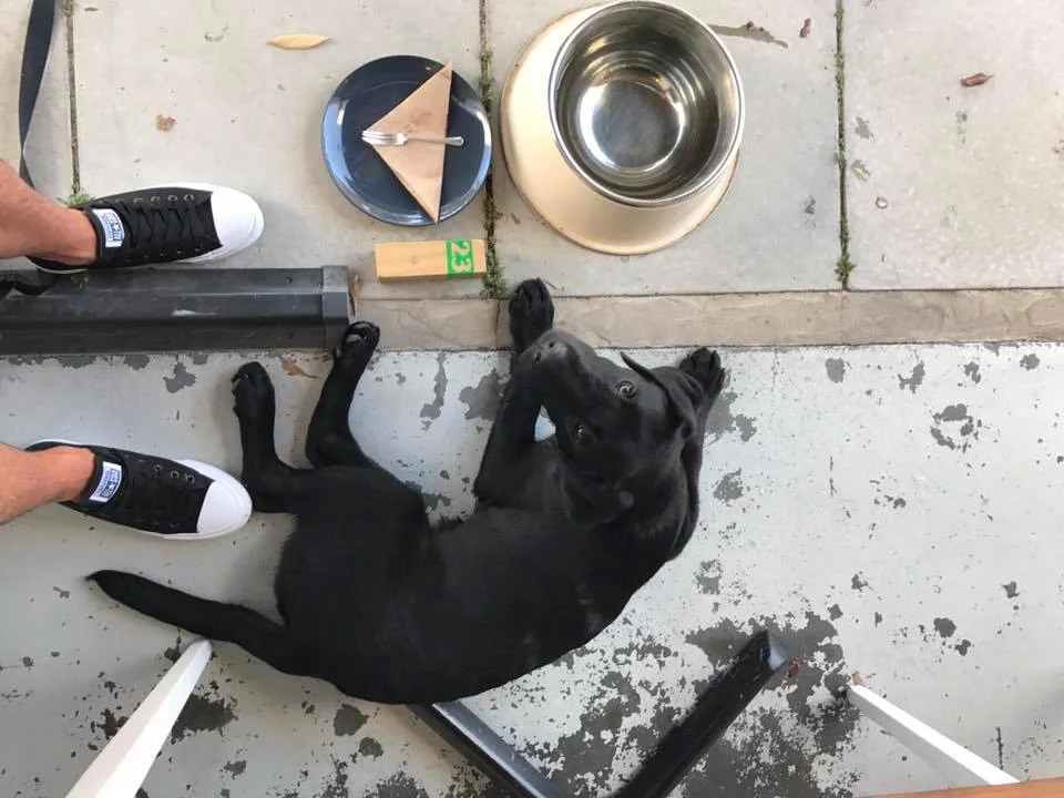 Nala