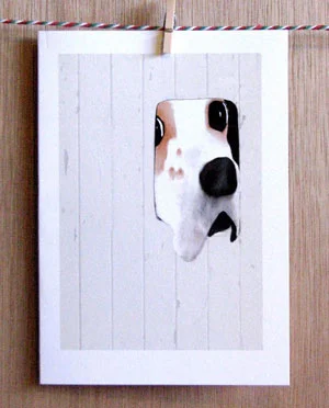 A range of cards $6.00