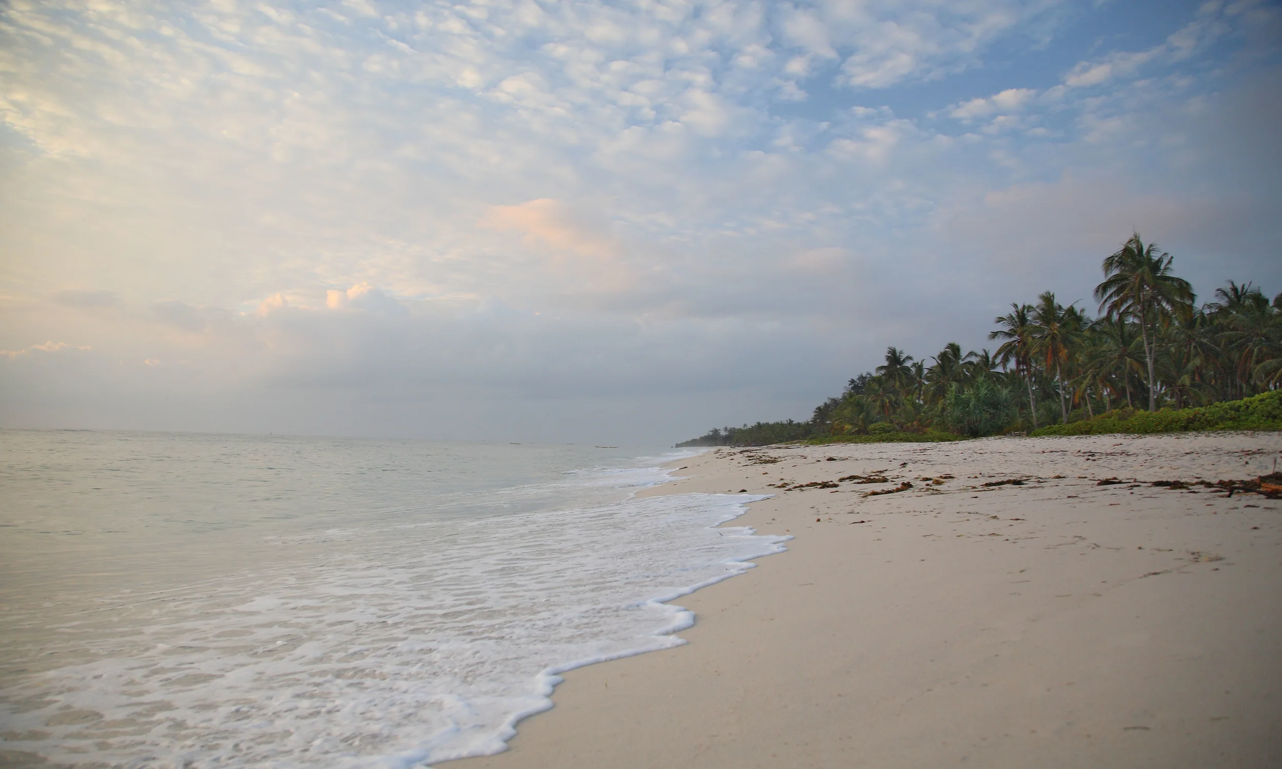 Mann08Sand015.jpg