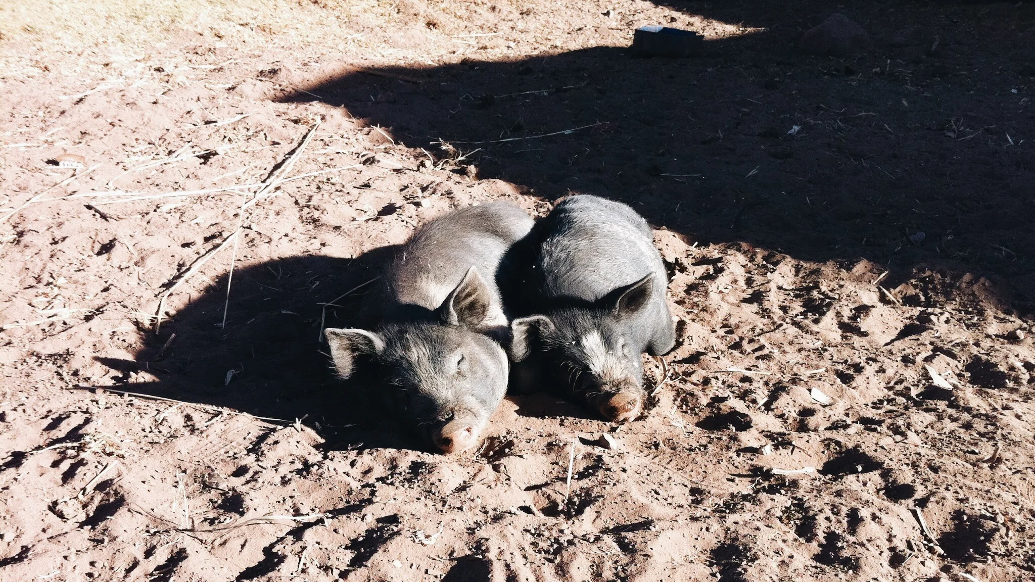 vscocam-photo-3 (13).jpg
