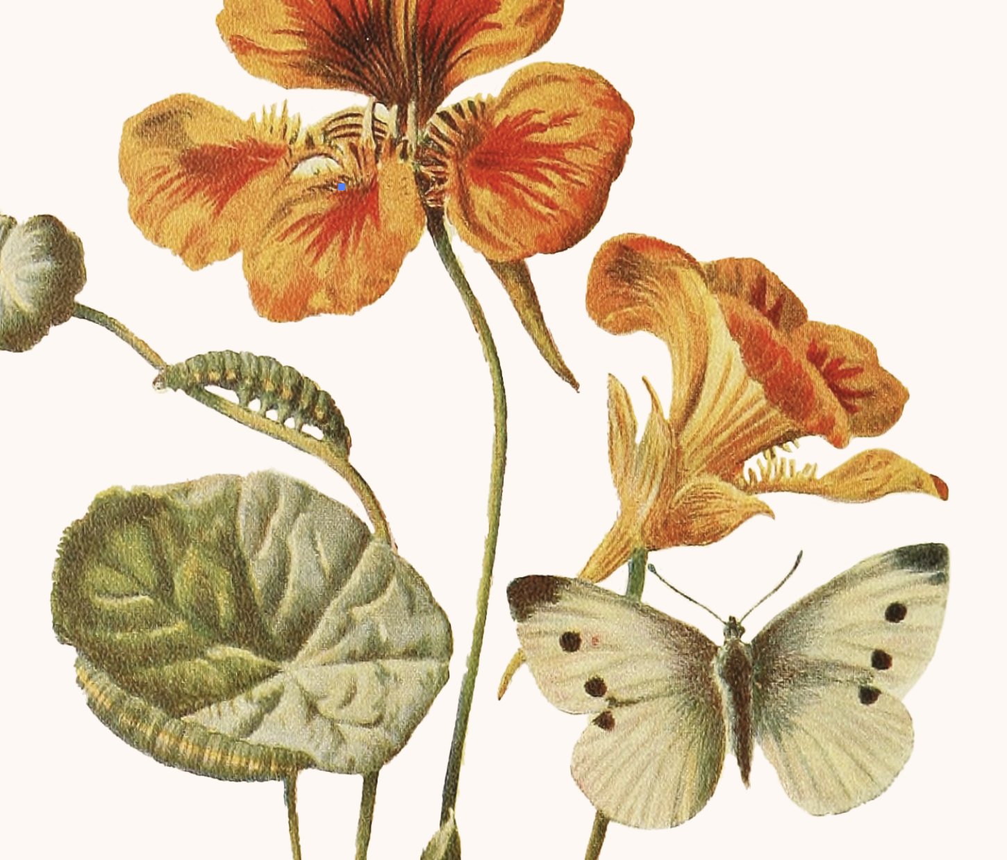 Screen Shot 2021-11-14 at 10.28.30 PM.png