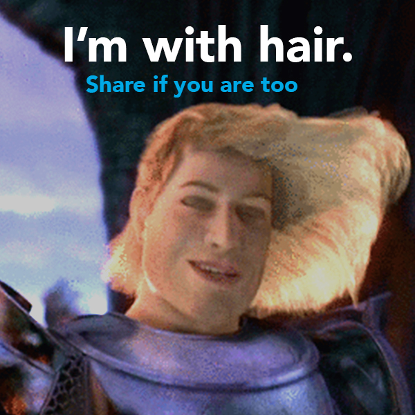 prince charming shrek hair