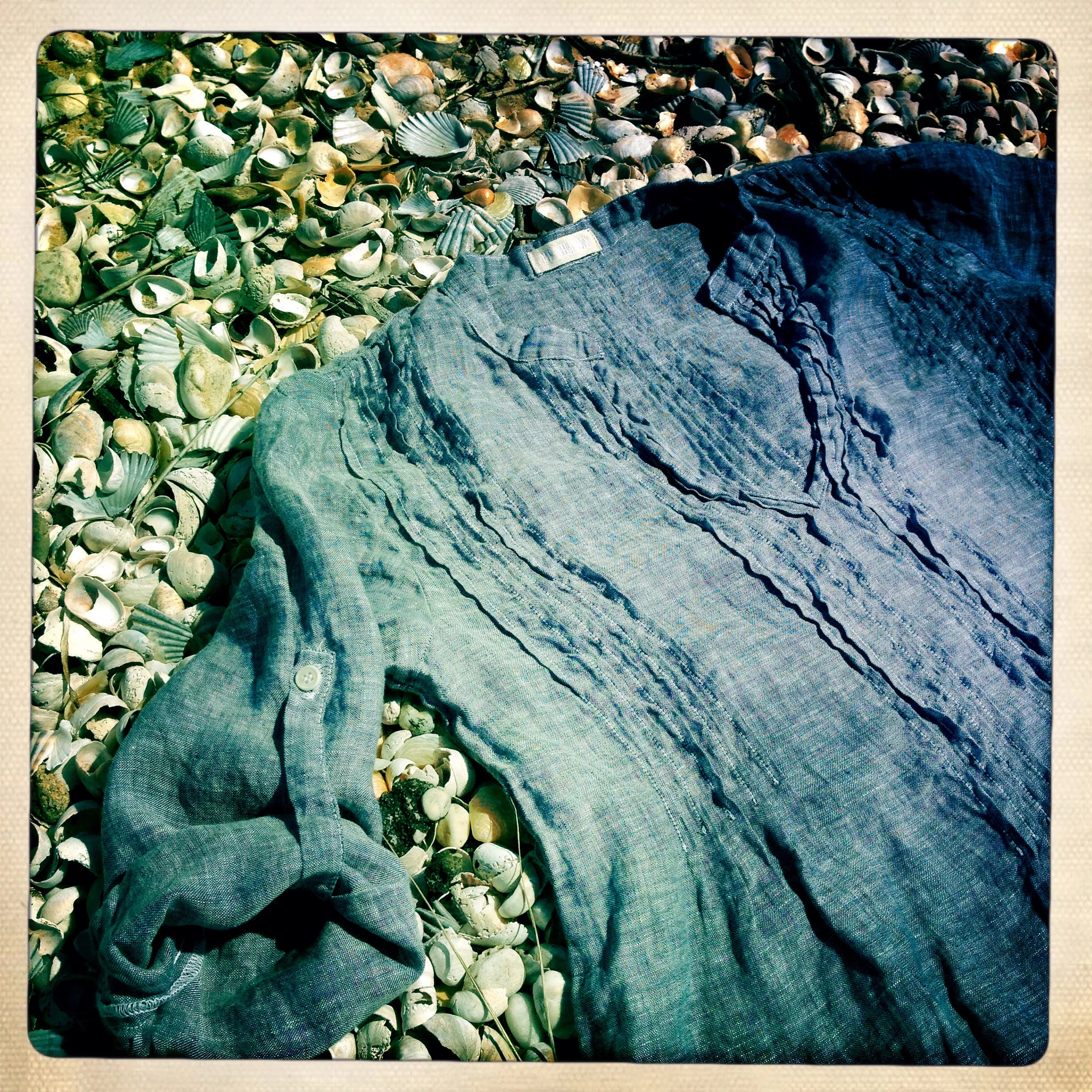 IMG_5749.JPG