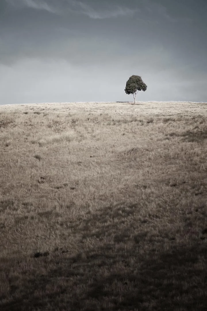 australia commercial advertising landscape photography sam roberts photographer adelaide hills