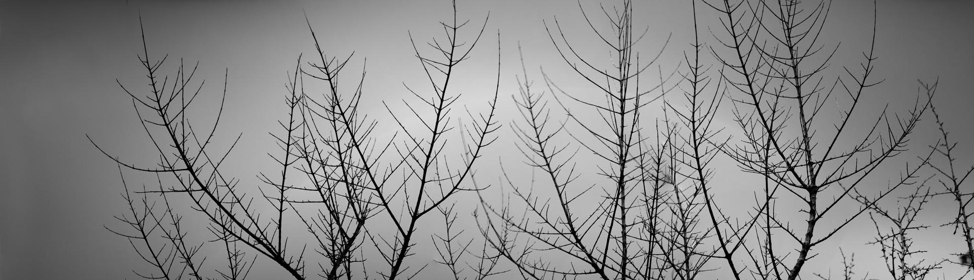 australia commercial advertising landscape photography sam roberts photographer adelaide hills