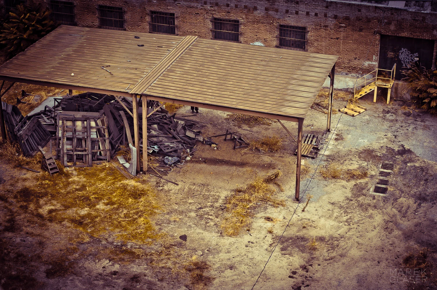 ZombieYard.jpg