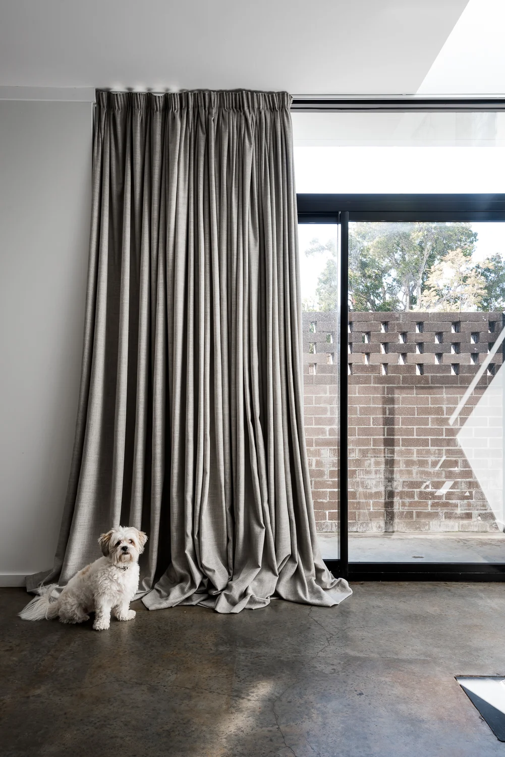 Triangle House by Robeson Architects - Dogs of Architecture