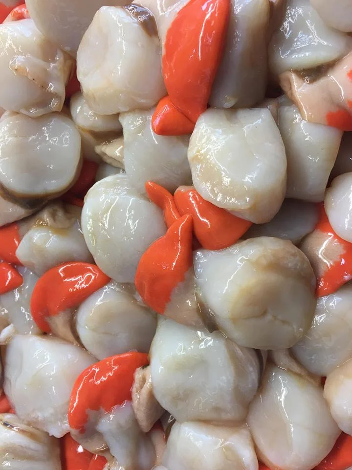 Scallops.jpg