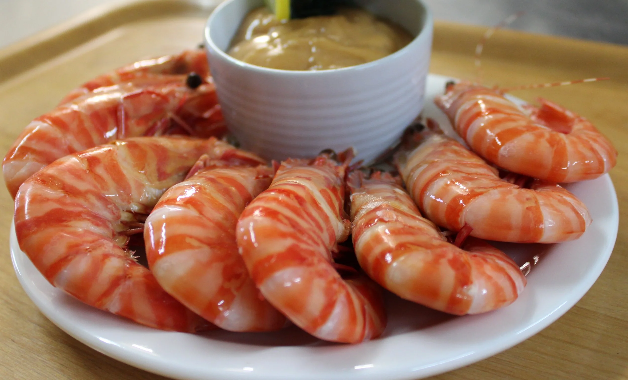 Tiger_prawn_4.jpg