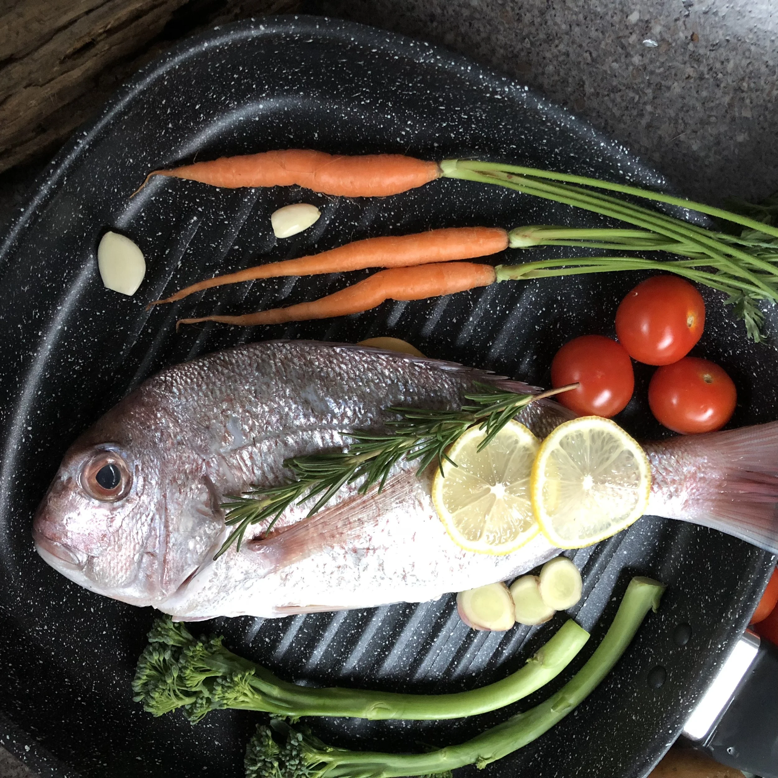 Scale Fish Varieties