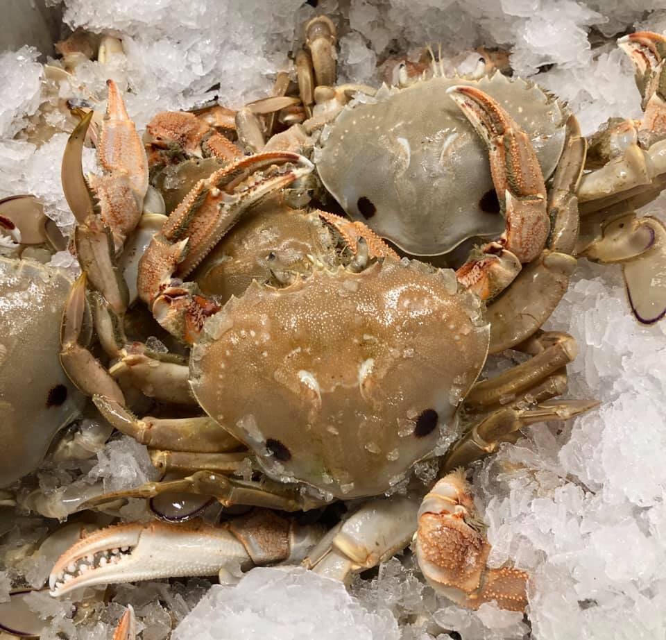 Crabs — Kyeema Seafoods