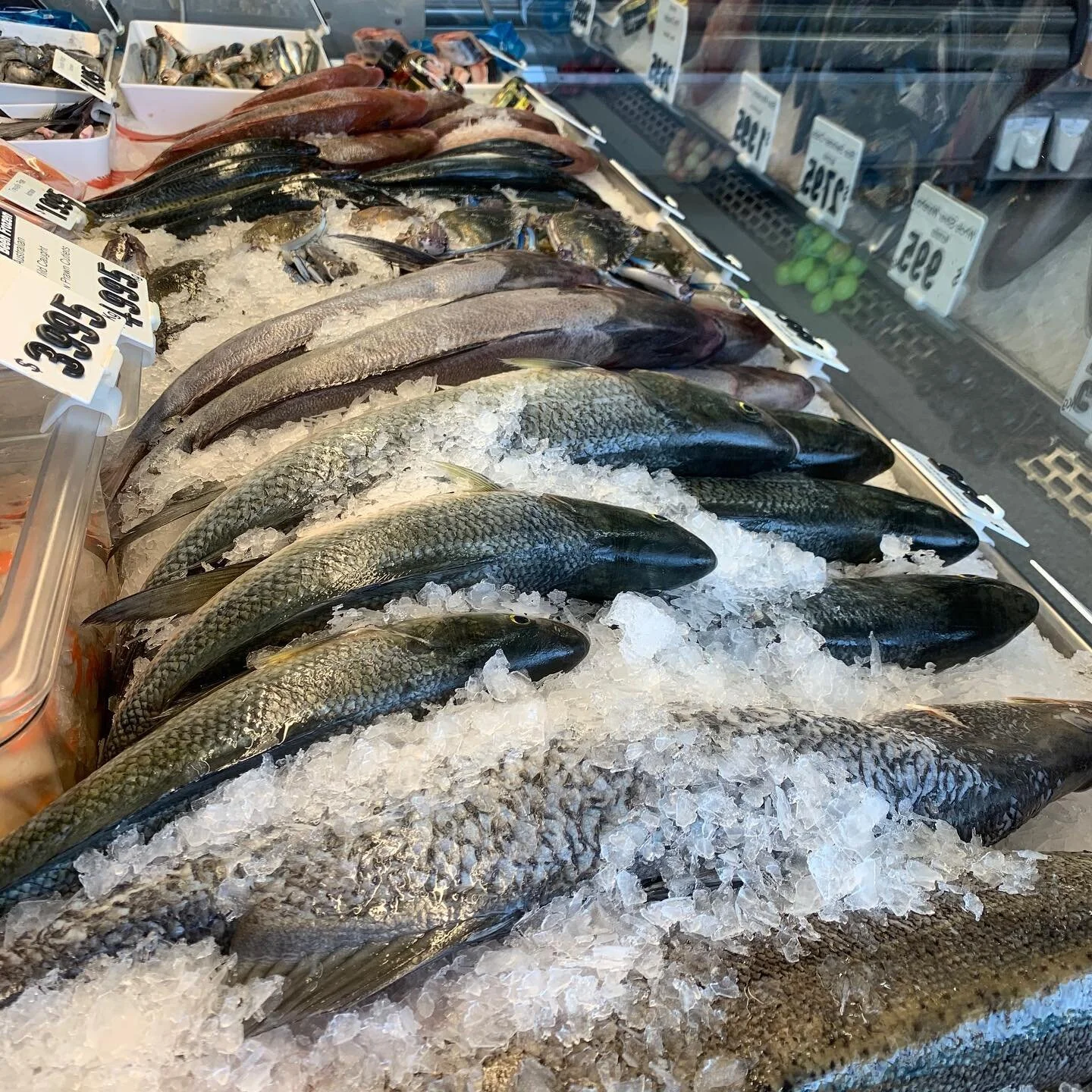 pat-mussels-kyeema-seafoods