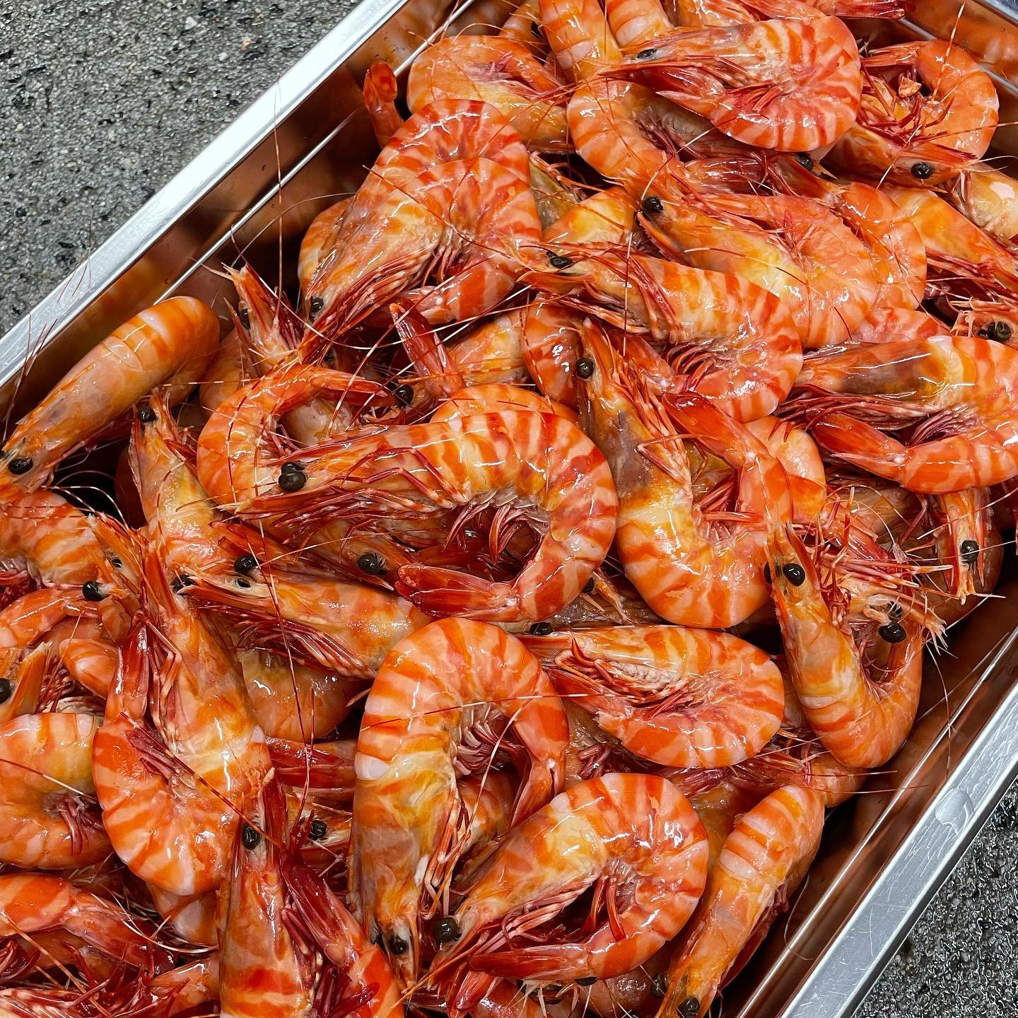 Tiger Prawns.jpg