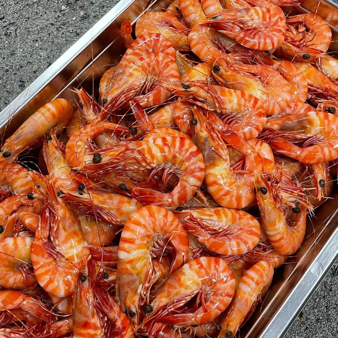 Tiger Prawns.jpg