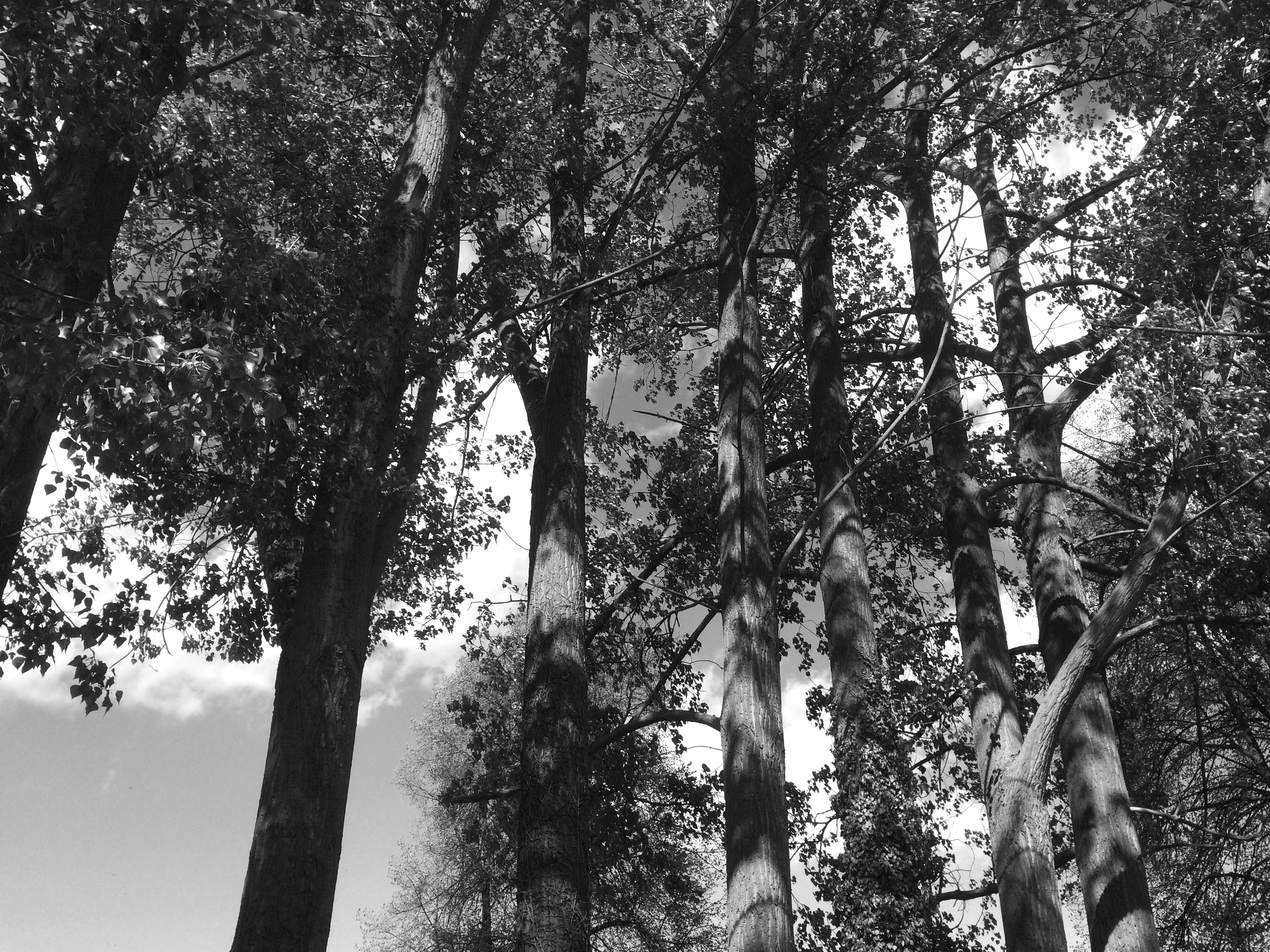           &nbsp; &nbsp; &nbsp; &nbsp; &nbsp; &nbsp; &nbsp; &nbsp; &nbsp; &nbsp; &nbsp; &nbsp; &nbsp; &nbsp; &nbsp; &nbsp; &nbsp; &nbsp; &nbsp; &nbsp; &nbsp; &nbsp; &nbsp; &nbsp; &nbsp; &nbsp; &nbsp; &nbsp; &nbsp; &nbsp;omedes 