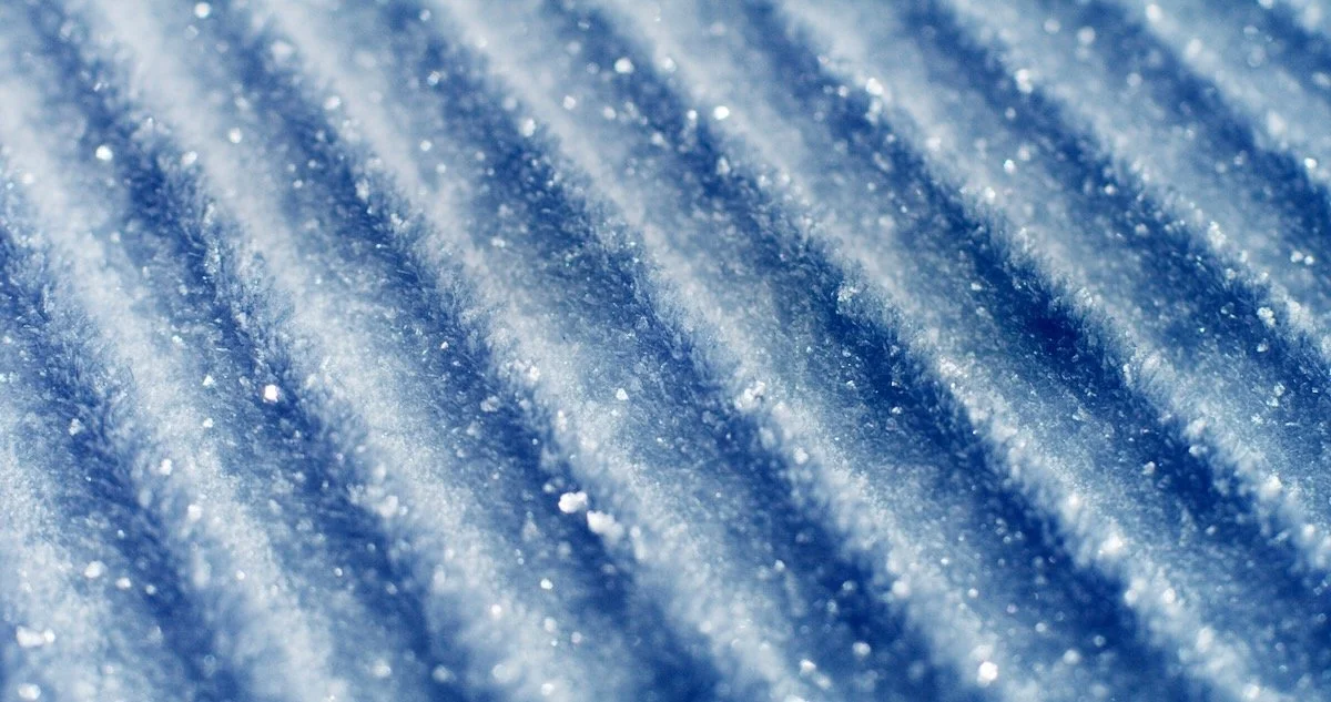 MorganMaassen_Snow - 12.jpeg