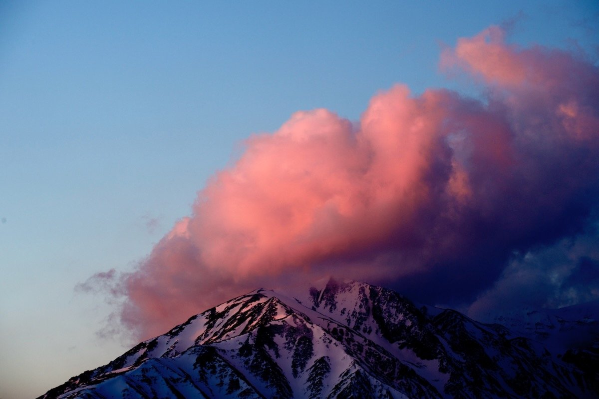 MorganMaassen_Snow - 13.jpeg
