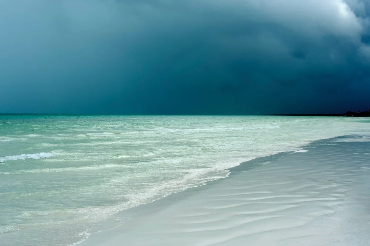 MorganMaassen_Other - 5.jpeg