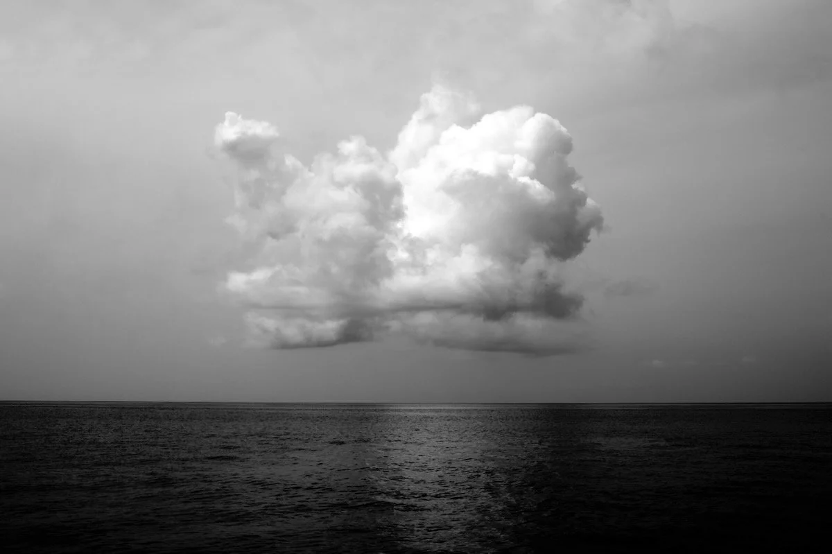 MorganMaassen_Other - 6.jpeg