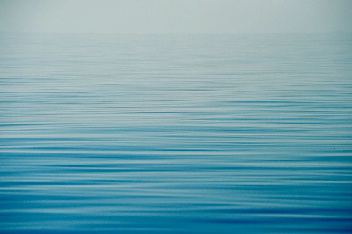 MorganMaassen_Other - 12.jpeg