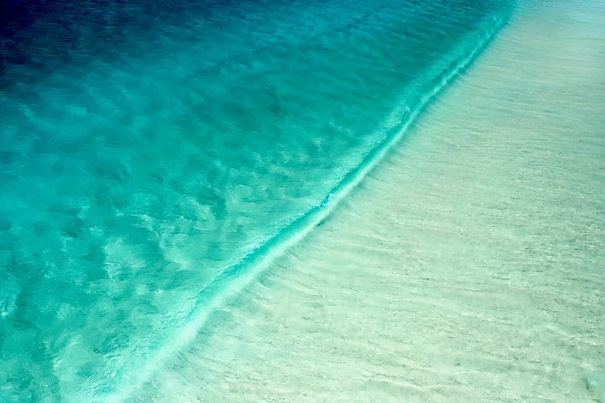 MorganMaassen_Other - 15.jpeg