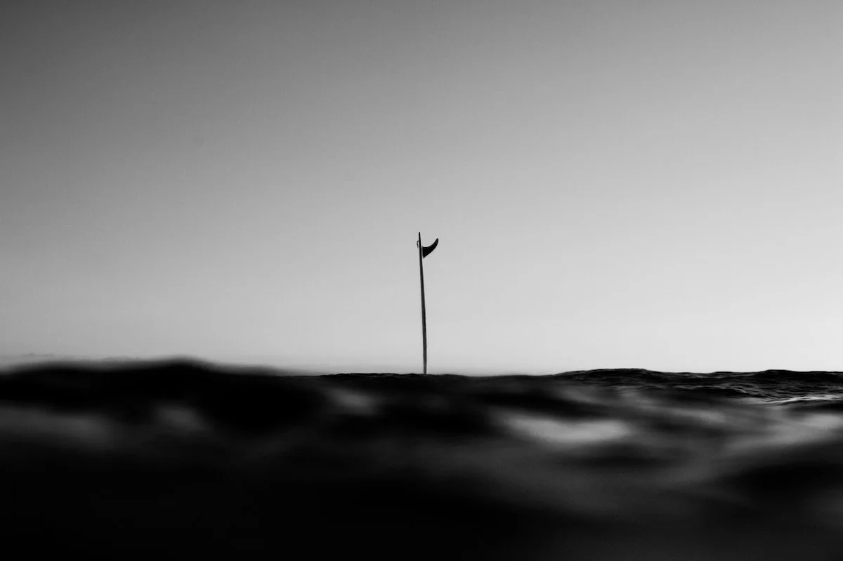 MorganMaassen_Other - 17.jpeg