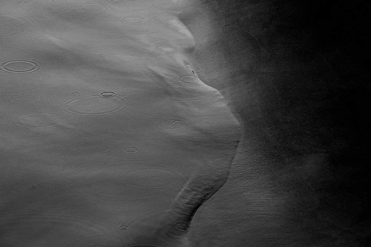 MorganMaassen_Other - 21.jpeg