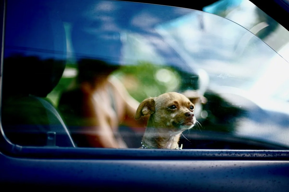 MorganMaassen_Other - 24.jpeg