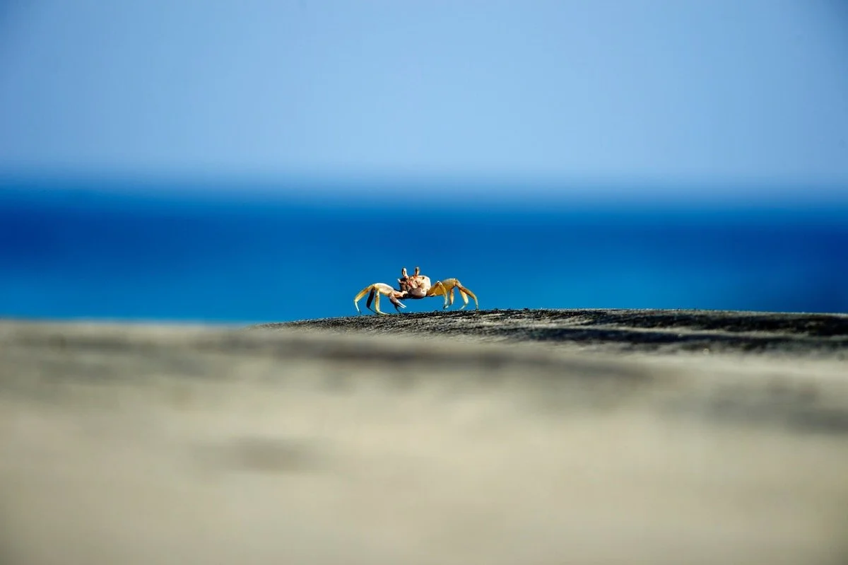 MorganMaassen_Other - 25.jpeg