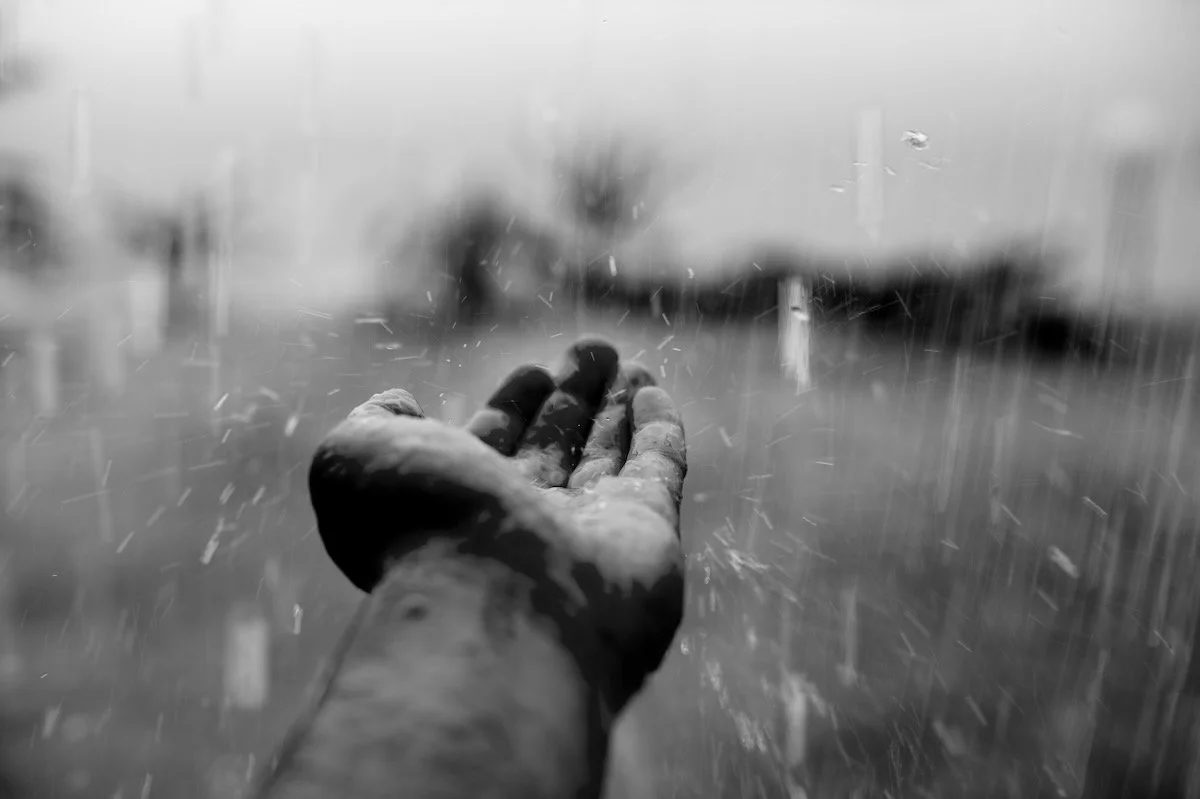 MorganMaassen_Other - 28.jpeg