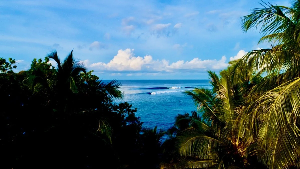 MorganMaassen_Surf - 6.jpeg